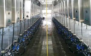 河南郑州客户新装2*20并列式挤奶机安装调试完毕