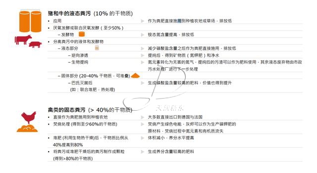 荷蘭糞污處理