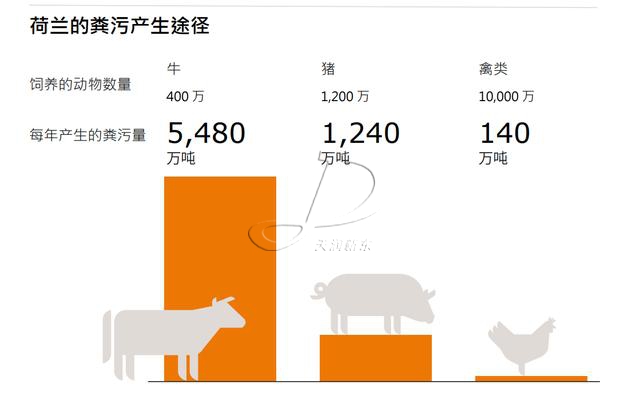 荷兰粪污处理