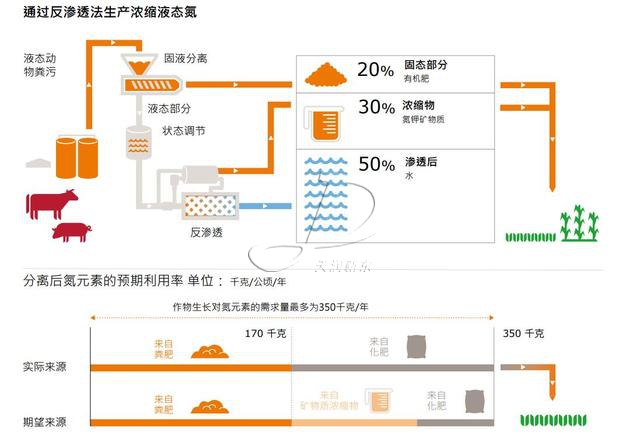 荷兰粪污处理