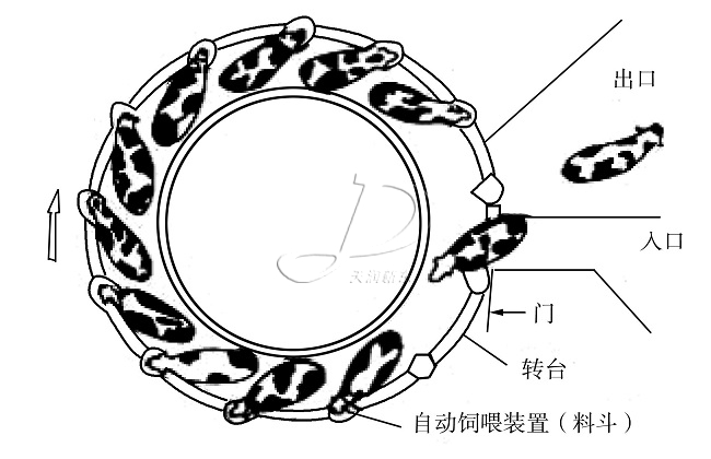 轉盤式擠奶廳