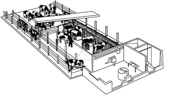 奶牛擠奶廳