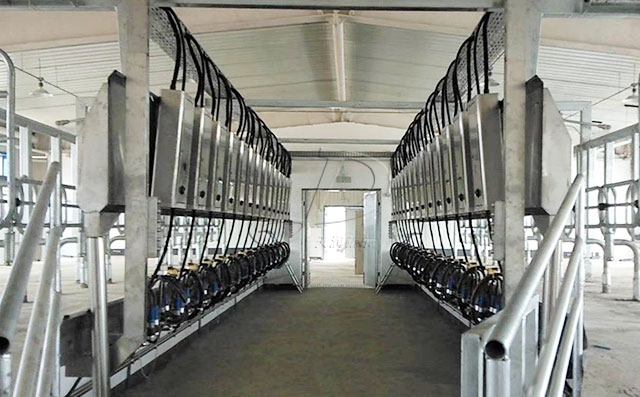 新疆28位SCR并列式挤奶机顺利完成安装调试