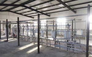 新疆中置式奶牛挤奶机客户奶厅现场